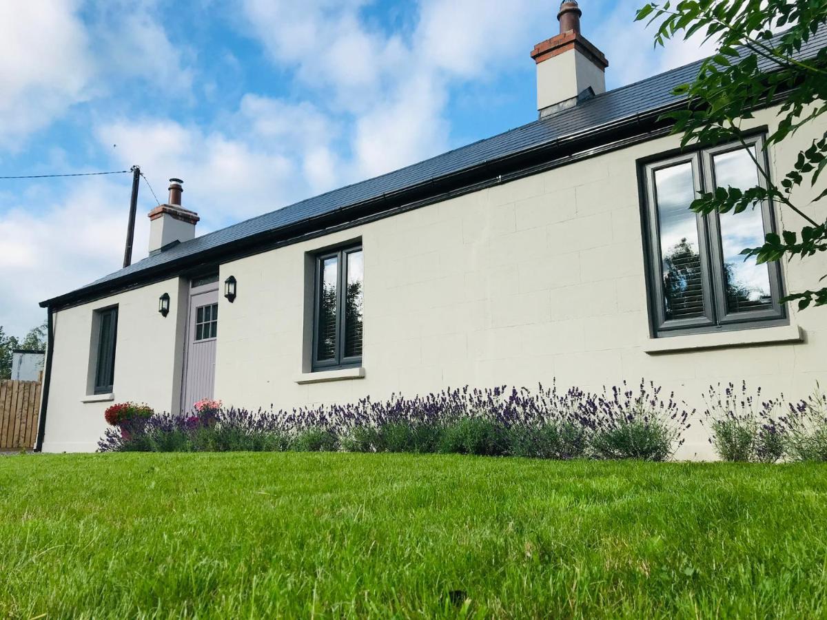 Lavender Cottage - 2 Bedroom Home Newbridge  Exterior photo