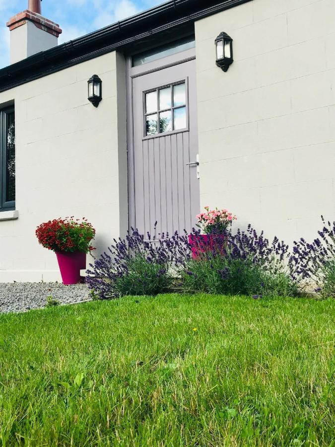 Lavender Cottage - 2 Bedroom Home Newbridge  Exterior photo